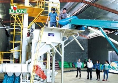 Đắk Nông: Triển khai nhiều chính sách hỗ trợ doanh nghiệp