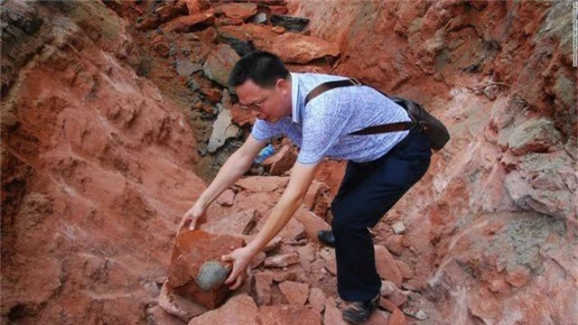 Nhặt được đá lạ hóa ra là trứng khủng long 66 triệu năm tuổi - 3