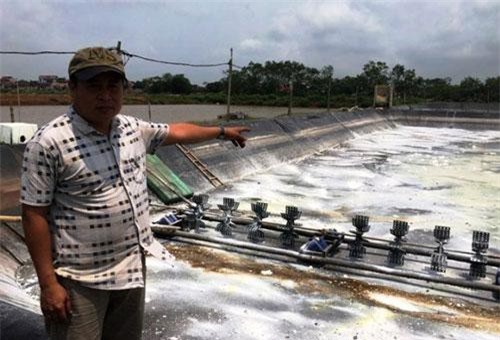 Nuôi con bật "tanh tách" tiền tỷ trên cánh đồng nhiễm mặn xứ Thanh