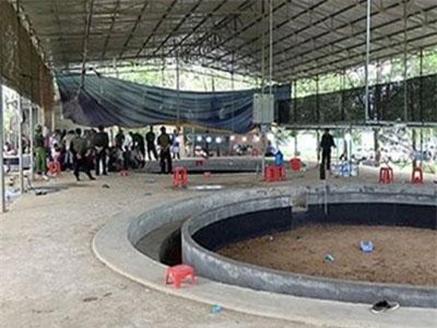 Kon Tum: Đột kích trường gà lớn, phát hiện 100 người đang tham gia chơi