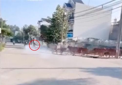 "Quái xế" nẹt pô ầm ĩ, liền bị cả đàn bò truy đuổi