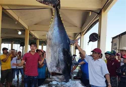 Khai thác thủy sản không phép trên biển có thể bị phạt tới 1 tỷ đồng