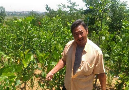 Lâm Đồng: Mỗi tháng thu 35-40 triệu đồng nhờ cho thỏ ăn lá vông