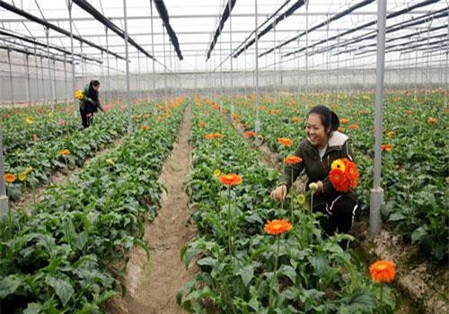 Vĩnh Phúc: Giúp hội viên vượt nghèo vươn lên khấm khá