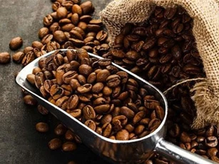 Giá một số mặt hàng nông sản hồi phục