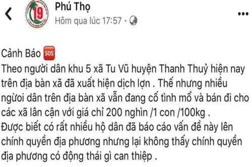 Phú Thọ: Triệu tập thanh niên tung tin thất thiệt về dịch tả lợn trên Facebook