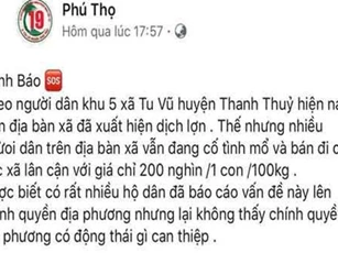 Phú Thọ: Triệu tập thanh niên tung tin thất thiệt về dịch tả lợn trên Facebook
