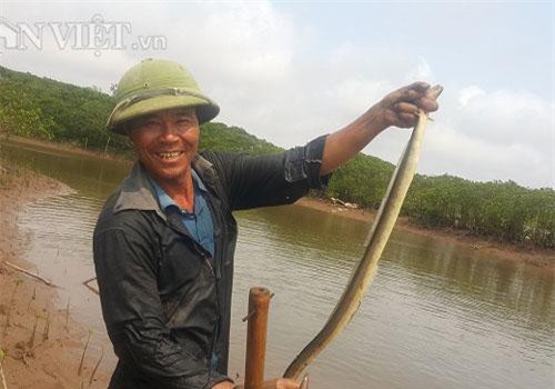 Thanh Hóa: Săn "thủy quái" dài ngoẵng đầy răng nhọn, kiếm nửa triệu/ngày