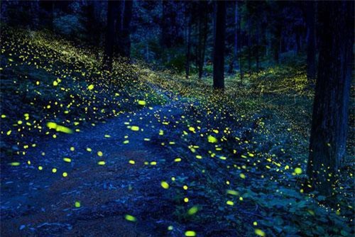 5 địa điểm du lịch đẹp huyền ảo đến khó tin