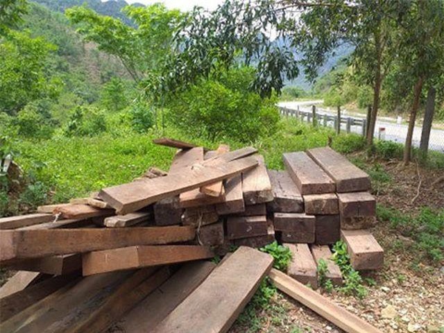 Quảng Ninh: Gỗ lậu được cất giấu trong... trụ sở UBND xã