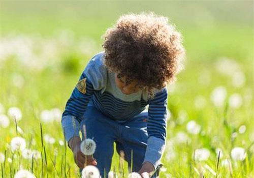 Những người lớn lên trong môi trường thiên nhiên có sức khỏe tâm thần tốt hơn?