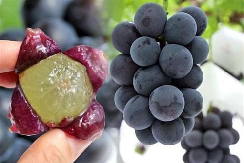 Nho đen vị rượu 1,5 triệu đồng/chùm, giới trẻ tranh nhau mua ăn thử