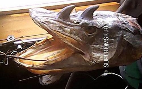 Bắt được "thủy quái" như rồng biển ở Nga