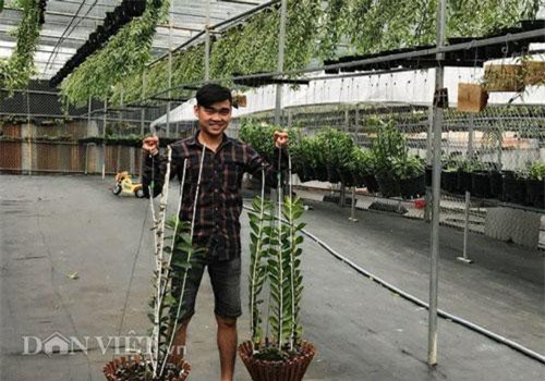 15 tuổi "tảo hôn" với lan, 22 tuổi chàng trai có vườn lan hàng tỷ đồng