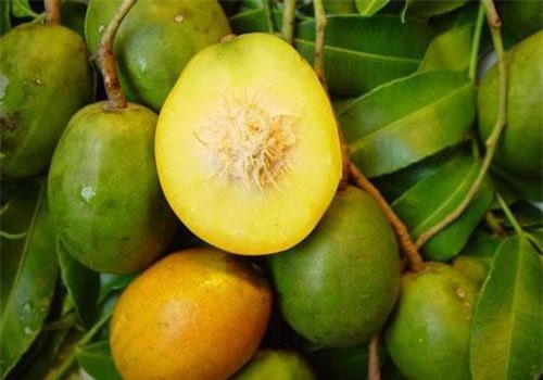 Loại quả mùa hè giá rẻ như bèo là thần dược sức khỏe