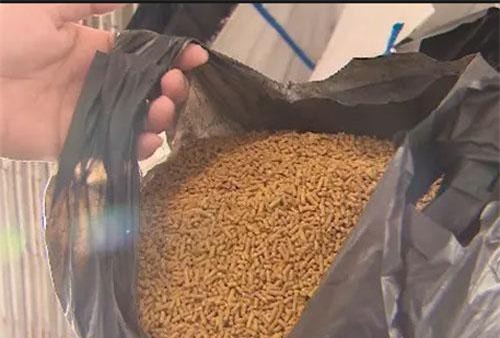 Giá thuốc, thức ăn thủy sản nhảy vọt