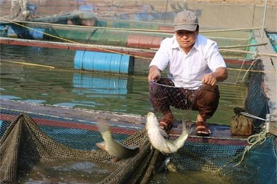 tu nui xuong song da nuoi ca dac san ma kham kha han len hinh anh 3