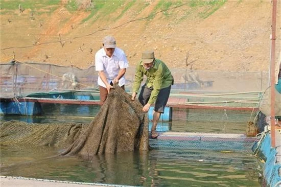 tu nui xuong song da nuoi ca dac san ma kham kha han len hinh anh 4