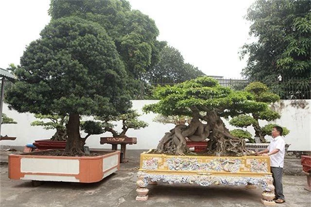 Vườn cây nghệ thuật di sản 300 tỷ đồng độc nhất vô nhị tại Việt Nam - 2