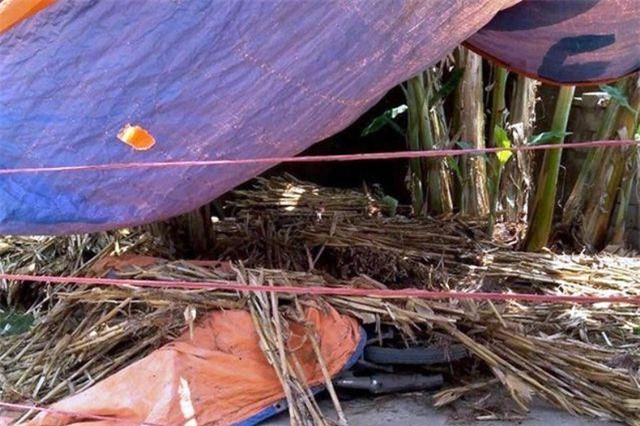 Nghệ An: Khởi tố kẻ dùng dao đoạt mạng anh họ, cứa đứt cổ một phụ nữ khác