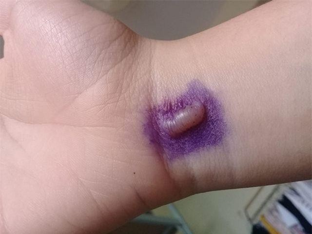 Kiến ba khoang tấn công, người Sài Gòn “mất ăn mất ngủ”