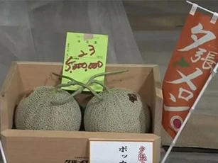 Cặp dưa giá kỷ lục hơn 1 tỷ đồng