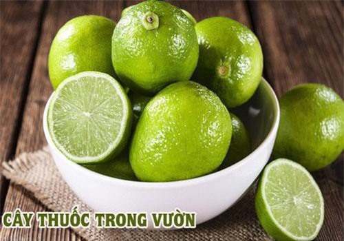 Nhà nào trồng cây chanh thì cũng như có "bảo bối" chữa bệnh cho trẻ