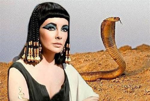Giải mã cực sốc loài rắn độc cắn chết Nữ hoàng Cleopatra