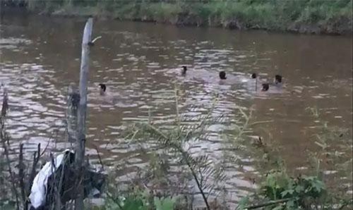 Khánh Hòa: 2 học sinh lớp 5 chết đuối ngay đầu kỳ nghỉ hè