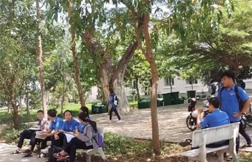 Đã rõ người làm lộ đề khiến 10.000 học sinh THPT Bình Thuận phải dừng thi