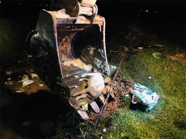 Hà Tĩnh: Công an truy tìm người vứt lợn nhiễm dịch tả châu Phi xuống kênh