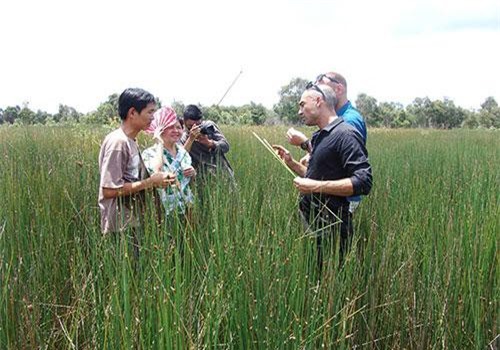 Long An: Trai miền Tây "lên đời" cho loài cỏ dại, làm ống hút bán sang Tây