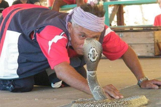 Bí ẩn ở ngôi làng kỳ lạ coi rắn độc như bầu bạn