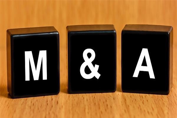 Tập đoàn Đồng Tâm của "bầu" Thắng chính thức sở hữu gần 15% vốn của Gỗ Trường Thành