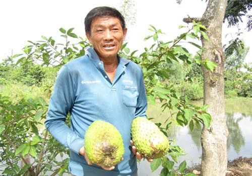 Cần Thơ: Tỷ phú đêm đi thụ phấn mãng cầu xiêm, bán hơn 200 tấn trái/năm