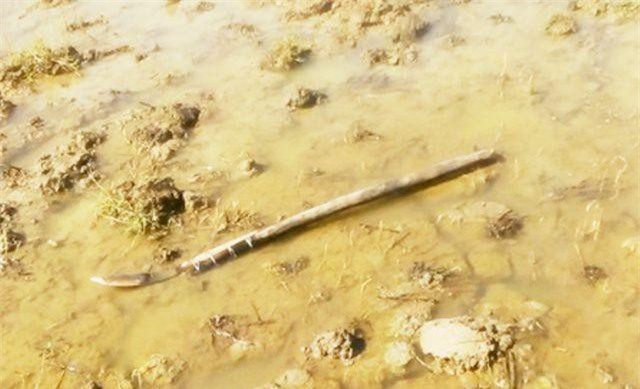 Vụ 2 chú cháu tử vong vì tranh chấp đất ở Sóc Trăng: Không khởi tố vụ án