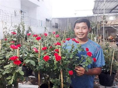 Cần Thơ: Chàng trai tốt nghiệp đại học và duyên nợ với hoa hồng