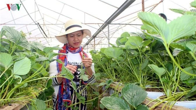 nan giai thu hut dau tu fdi vao nong nghiep cong nghe cao hinh 1