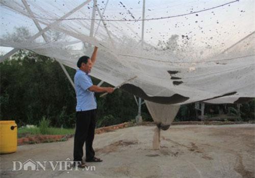 Đồng Nai: Nuôi loài ngày treo mình ngủ, tối đi săn, góp phần thu 2-3 tỷ/năm