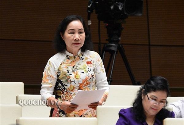 Tăng giá điện thời điểm này là không phù hợp, cần sớm công bố kết luận thanh tra 