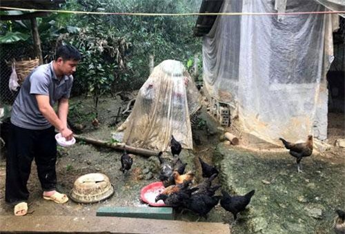 Kỳ lạ: Nuôi loài gà đen xì, chân này 4 ngón, chân kia lại có 5 ngón