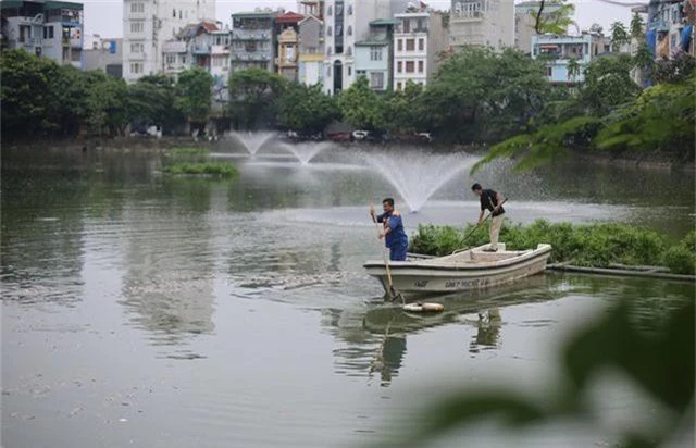 Hà Nội: Cá chết nổi trắng hồ Văn Chương, dân sống quanh hồ không dám... thở - 4