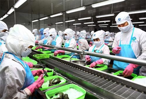 Vì sao doanh nghiệp tư nhân Việt Nam lại hay "chết yểu"?