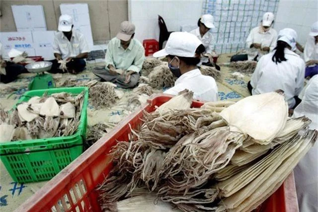 Người Hàn “chuộng” mực, bạch tuộc, doanh nghiệp thủy sản Việt “hốt bạc” - 1
