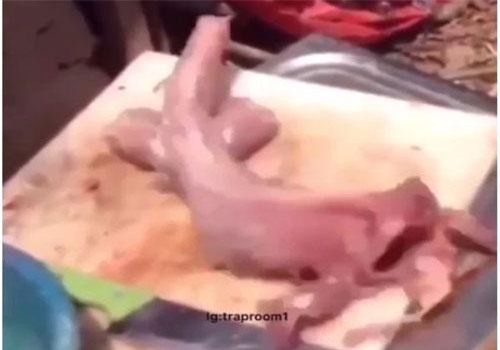 Cá đã bị làm thịt bỗng ‘sống lại’ khiến dân tình hú vía