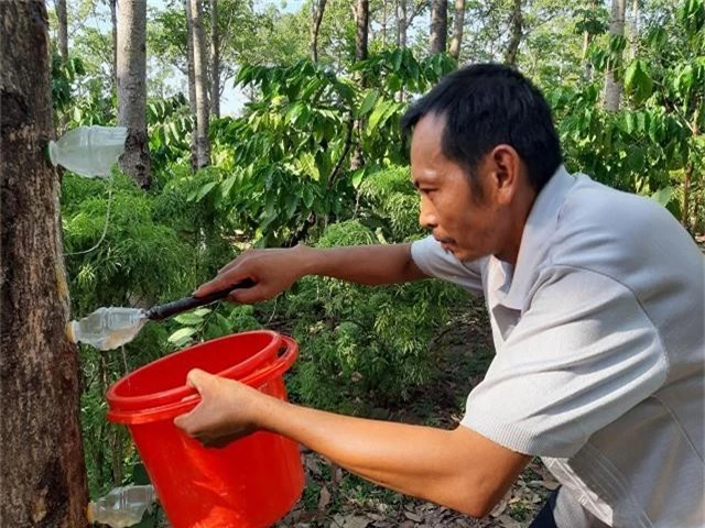 tieu chet, vo chong duc mu tu cay trom ma "om" bac trieu moi ngay hinh anh 2