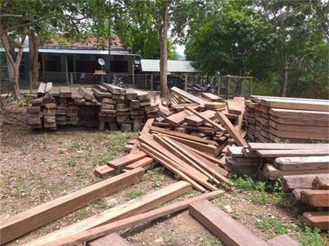 Xác minh nguồn gốc số gỗ cất giấu trong trụ sở UBND xã - 1