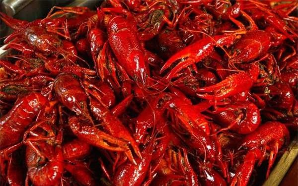 Yêu cầu kiểm tra việc kinh doanh tôm hùm đất số lượng lớn