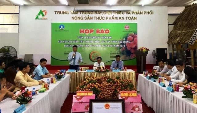 họp báo thông tin về Tuần lễ vải thiều và Diễn đàn kết nối sản xuất, tiêu thụ sản phẩm vải thiều, các sản phẩm đặc trưng huyện Lục Ngạn, tỉnh Bắc Giang 