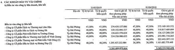 Nguồn: Báo cáo tài chính hợp nhất niên độ 2018 - 2019